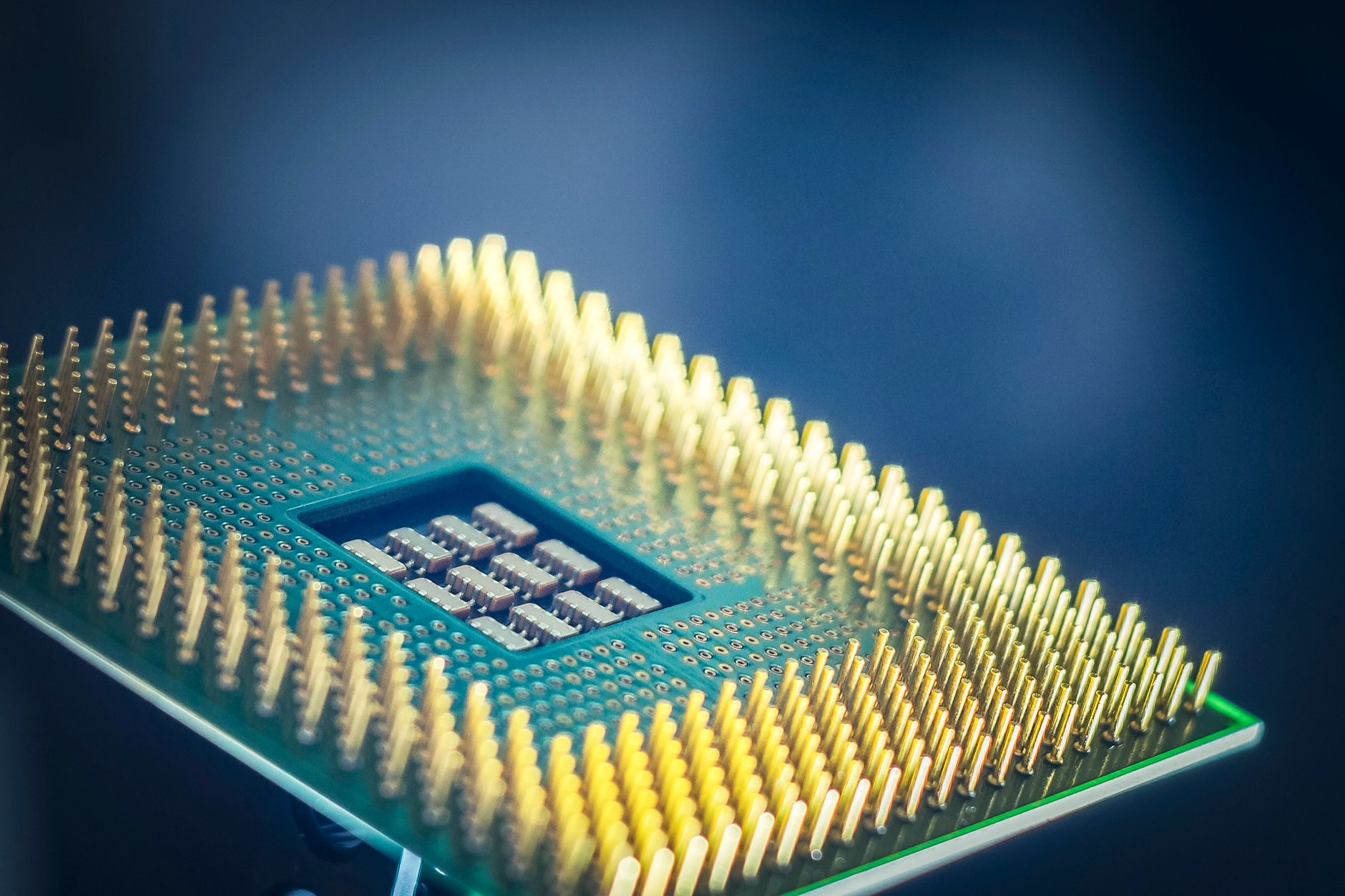 AI Processor Industry Report: Best Insights for 2026